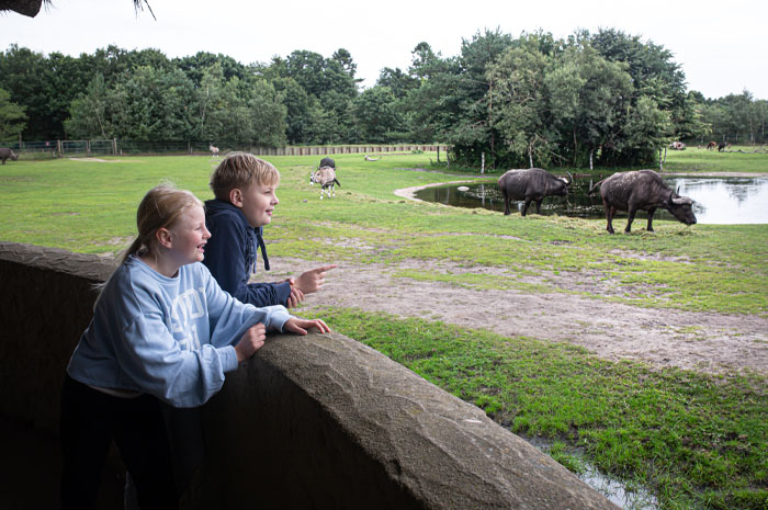 Usflugt Givskud Zoo