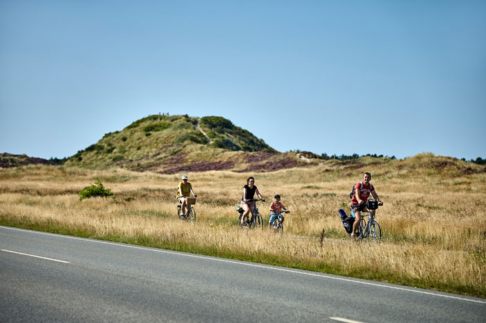 Cykelruter