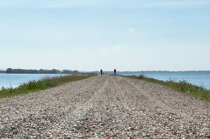 Filsø Cykel
