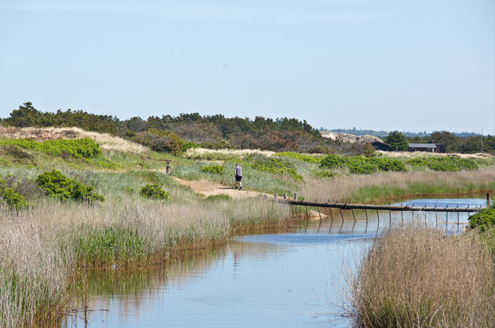 Natur Henne Strand Naturpark Vesterhavet