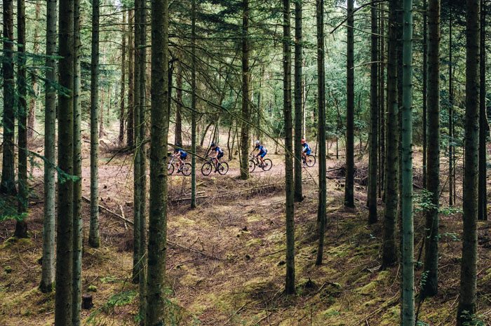 Natur Henne Strand Mtb Blaabjerg Klitplantage