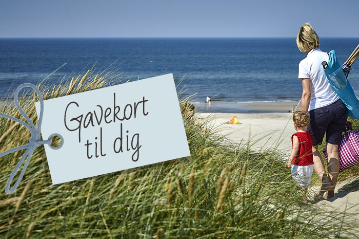 Gavekort til dig